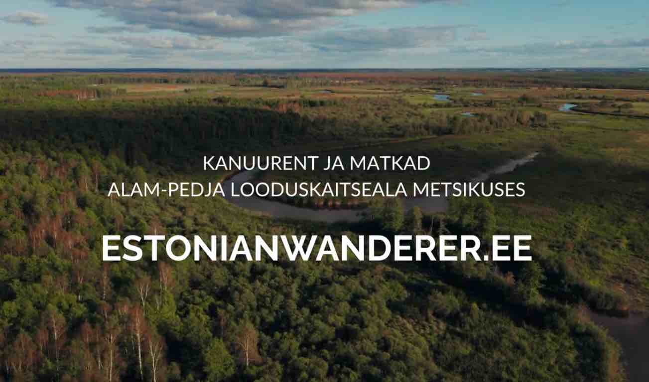 Wanderer